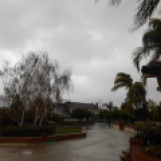 Rainy day in California