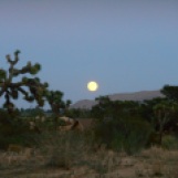 A Desert Moonrise